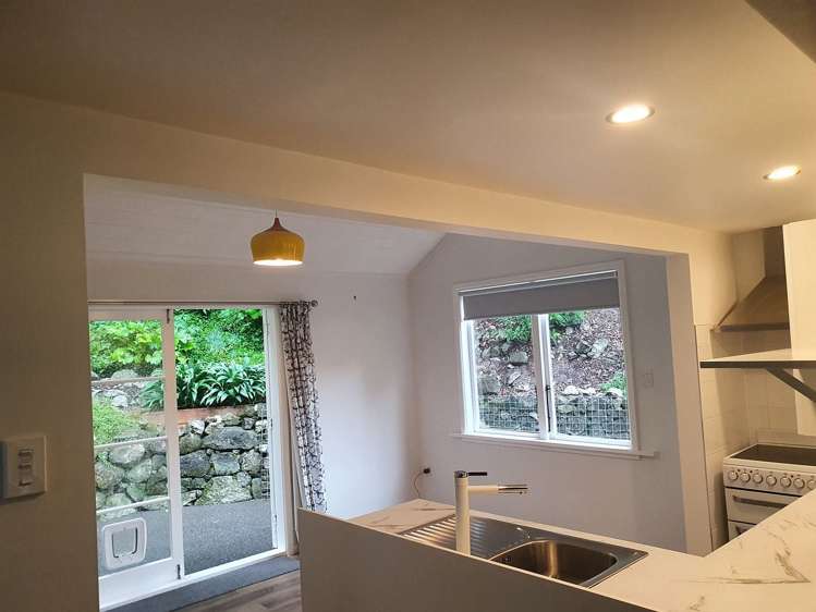 116 Shakespeare Road Bluff Hill_6