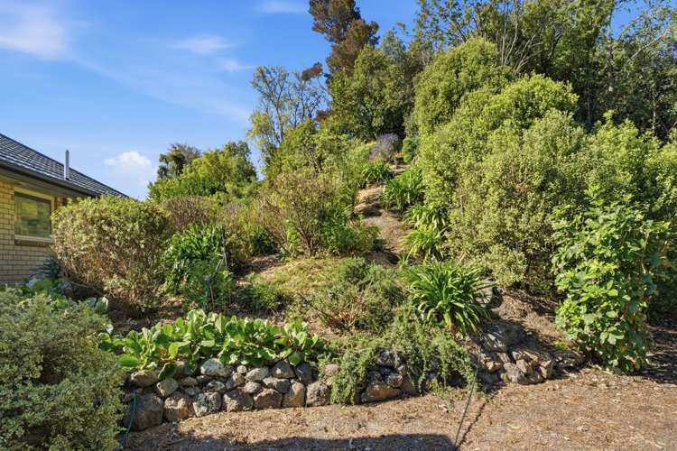 35A Shalamar Drive Cashmere_26