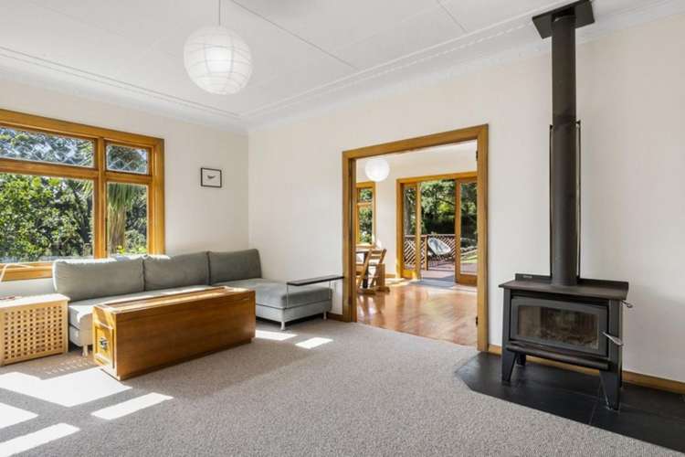 49 Every Street Andersons Bay_6