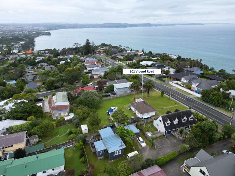 101 Vipond Road Stanmore Bay_5