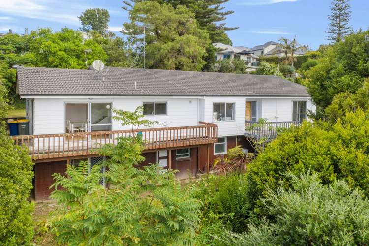 33 Squirrel Lane Browns Bay_6