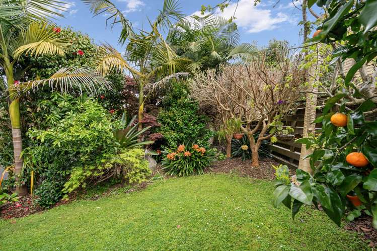 23B Aubrey Street Regent_14