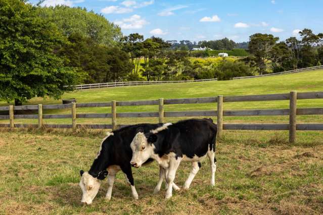 41 Berenice Lane Coatesville_4