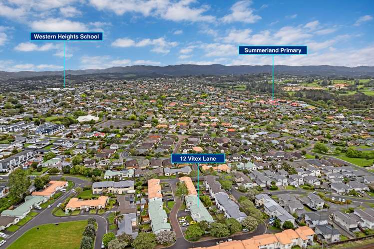 12 Vitex Lane Henderson_26