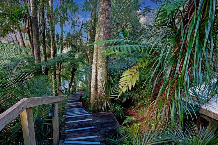 80 Mountain Road Henderson Valley_26