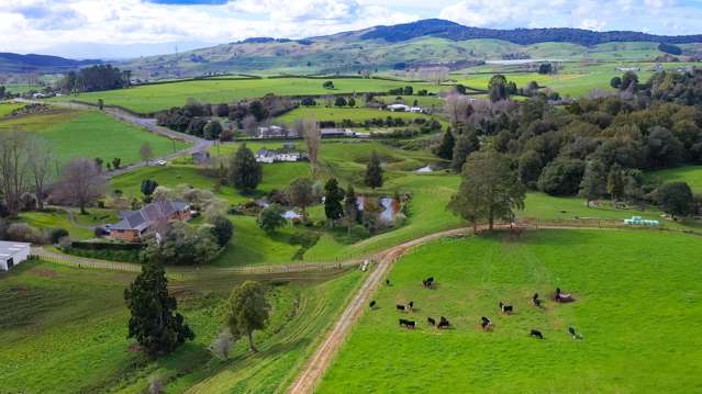 Retirement sale! 36 ha grazing block up for grabs