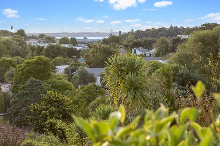 25 Farrar Street Grey Lynn_16