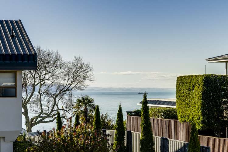 123 Thompson Road Bluff Hill_13