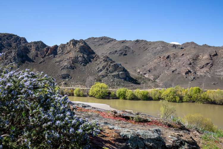 13a Taylor Place Alexandra_26