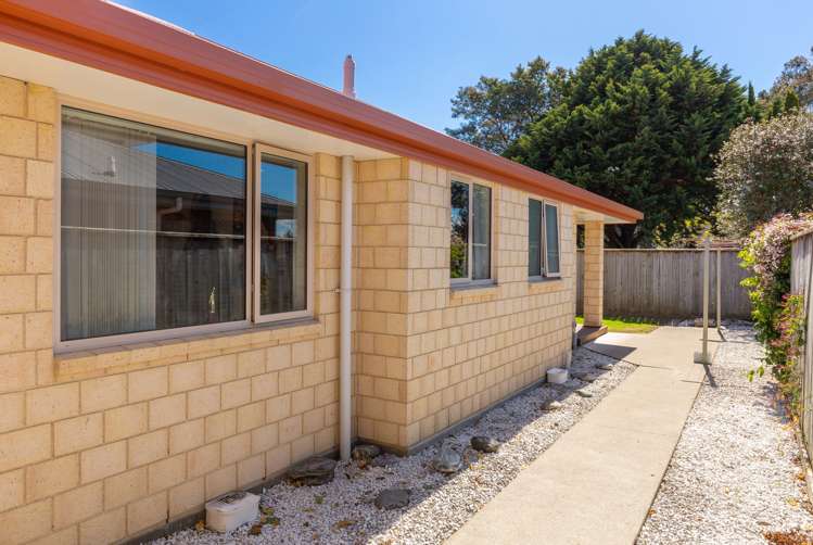 24a High Street Renwick_10