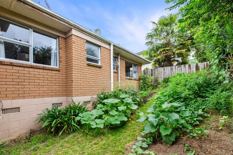 78b Sutherland Road Brookfield_10