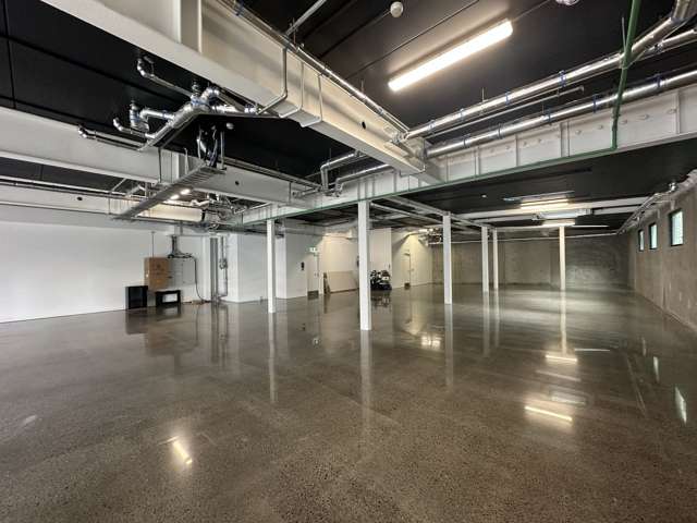 4-8 Rose Road Ponsonby_3