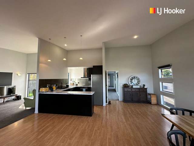 213 Somerville Street Shiel Hill_1