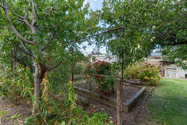 4 New York Street Martinborough_35