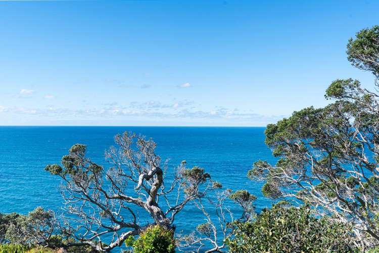 49 Dolphin Place Tutukaka_16