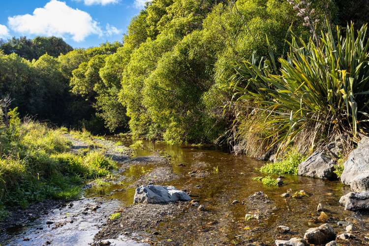76 Riwai Street Paraparaumu_26