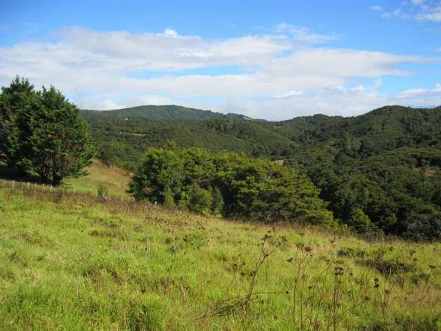 Waiotoi Road Ngunguru_1