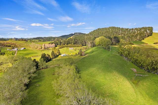 873 Croydon Road Te Popo_1