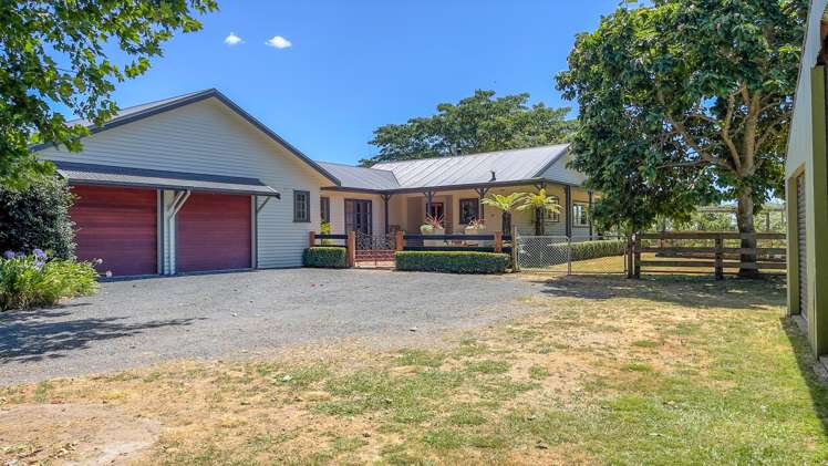 443a Puketutu Road_0