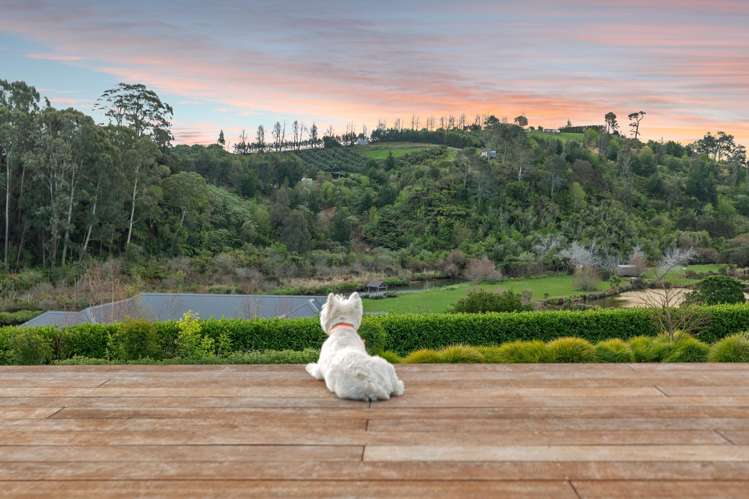 70A Francis Road Whakamarama_22