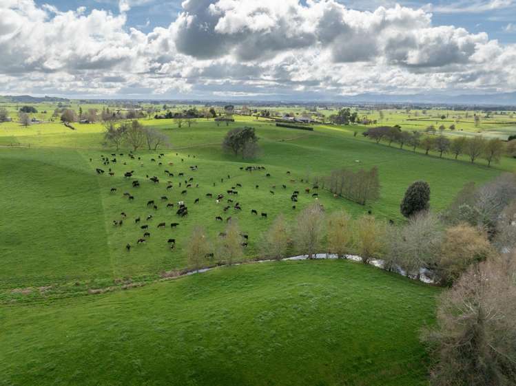 180 Cameron Road Morrinsville_7
