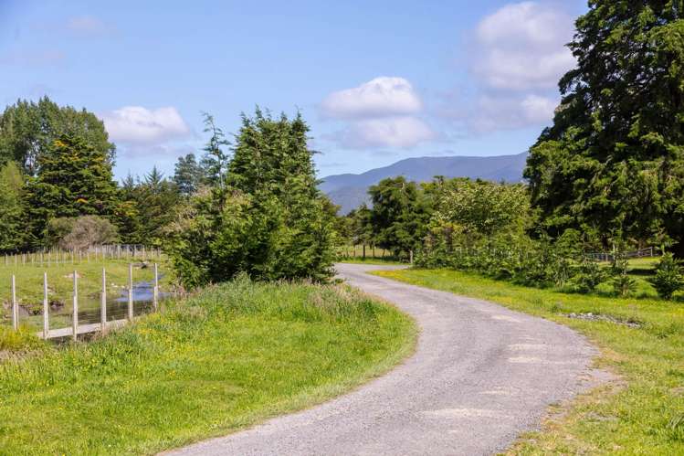 228B Wood Street Greytown_13