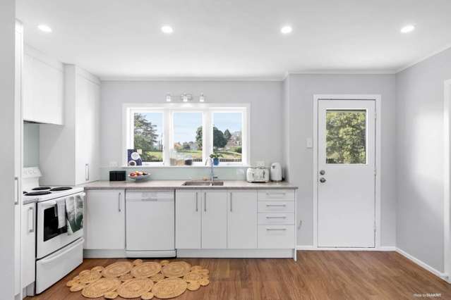 171 Hendon Avenue Mt Albert_2