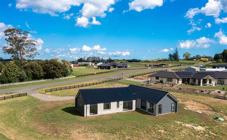 81 Vineyard Road Te Kauwhata_23