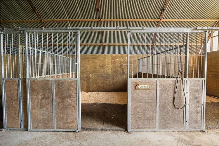 1115 State Highway 16 Waimauku_31