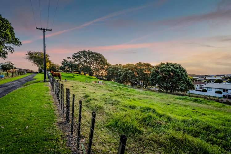 55 Nugent Street Bell Block_24