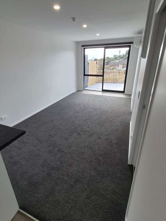 93 Oteki Park Drive Welcome Bay_2