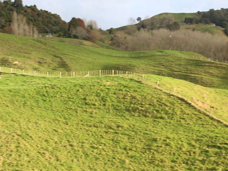 7 Grey Street Te Kuiti_1