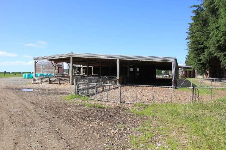 82 Pike Road Winton Surrounds_5