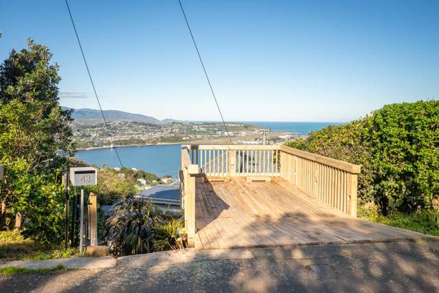 43 Alexandra Road Hataitai_4