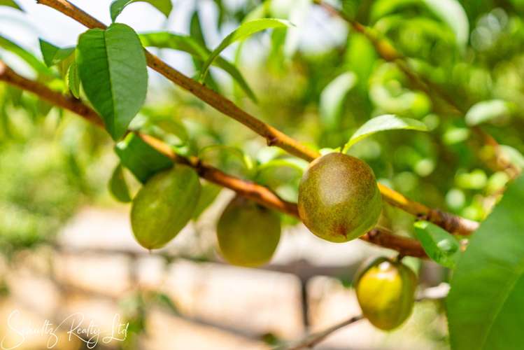 43 Gorge Road Maungaturoto_29