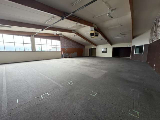 17 Carlyle Street Napier South_4