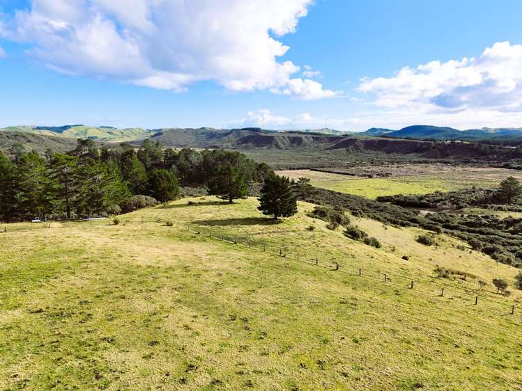 Lot 2 State Highway 12 Dargaville_1
