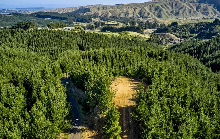 Fernhill Drive Judgeford_8