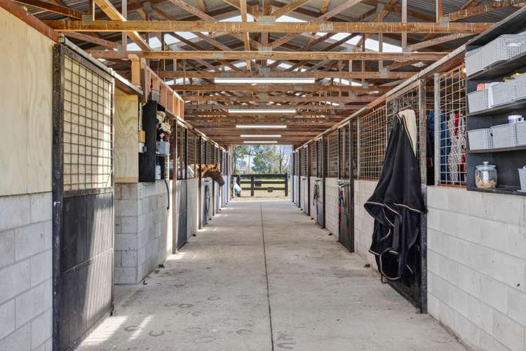 25 French Pass Road Cambridge_23