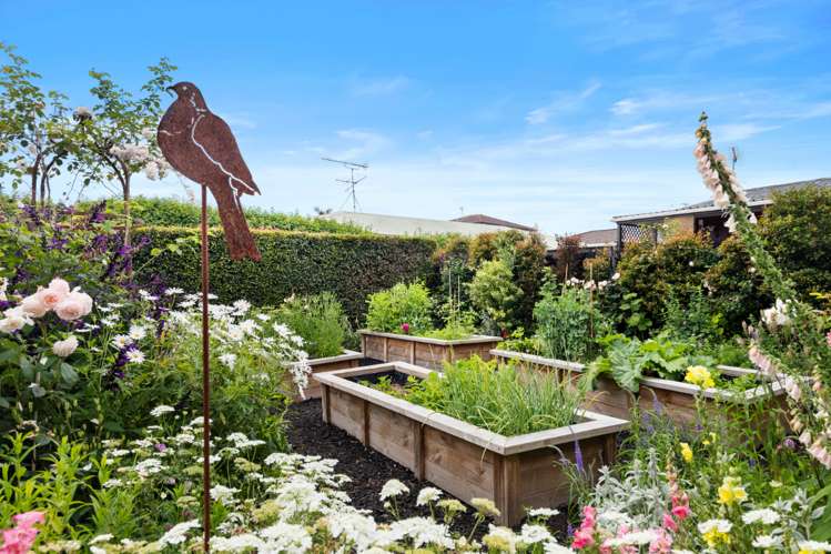 98a Victoria Street Pukekohe_12