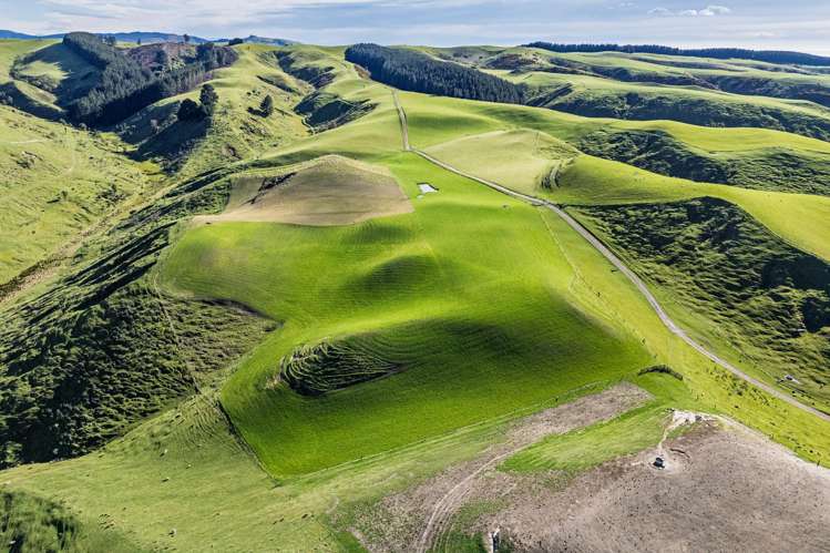 463 Dog Kennel Road Ikawai_1