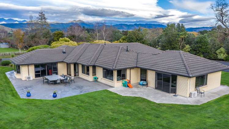 20 Redwood Grove Levin_22