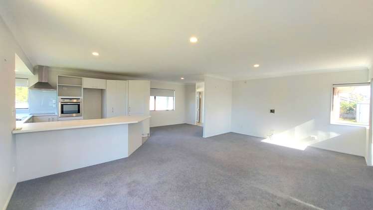 725a Cameron Road Tauranga South_4