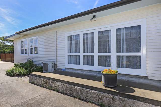 111 Garnett Street Raureka_1