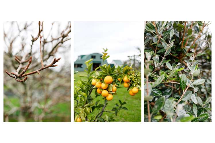 1 Rawinia Place Te Kaha_17