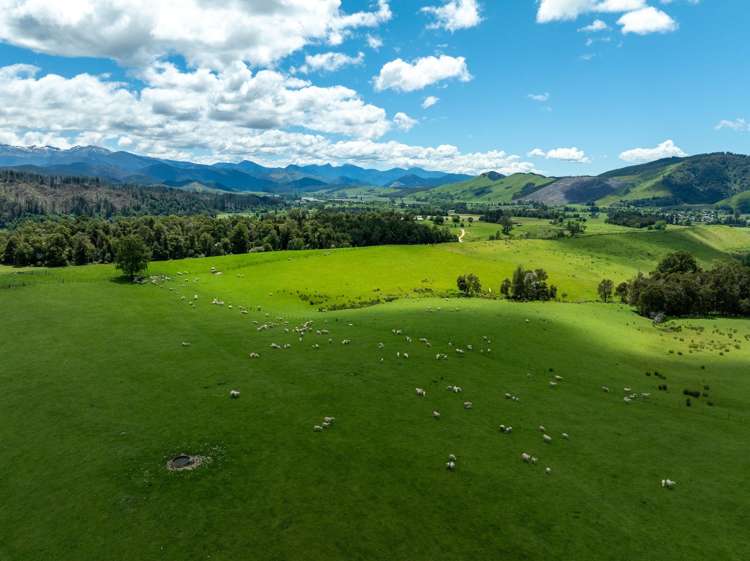 281 Tadmor Valley Road Tapawera_38