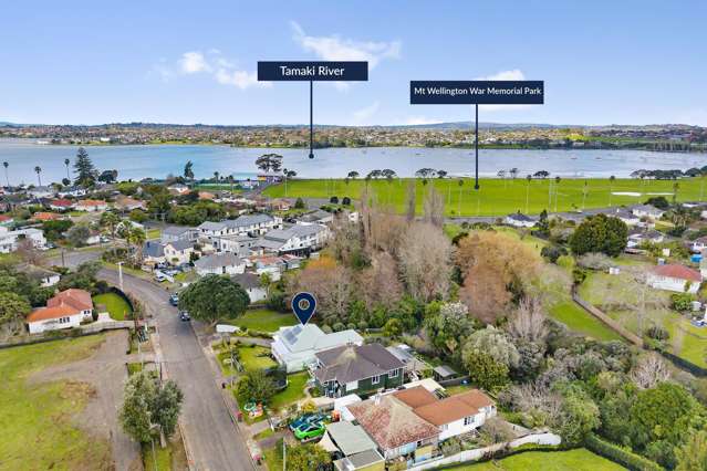22 Larsen Road Panmure_3