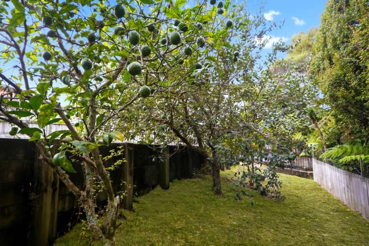 64 Laurel Oak Drive Schnapper Rock_22