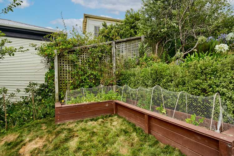 22 Mount Pleasant Road Aro Valley_15