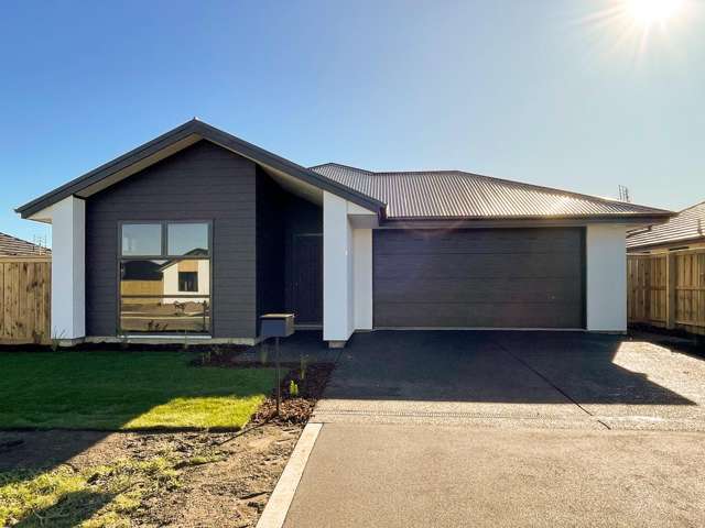 Modern, sunny 4 bedroom home!